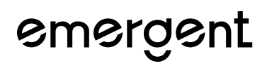 Emergent logo